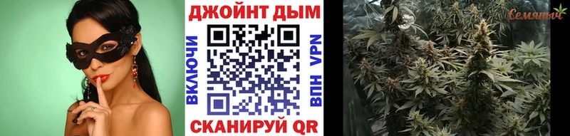 Купить  Высоцк  МАРИХУАНА индика 